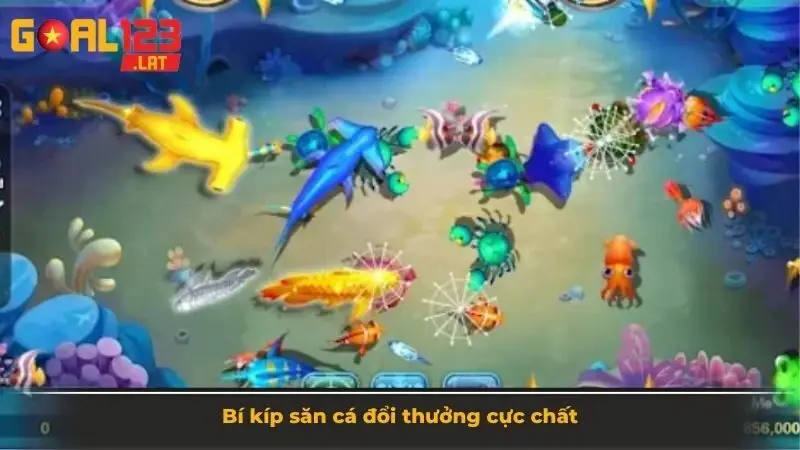 Bí kíp săn cá đổi thưởng cực chất